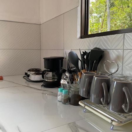 Apartament Anluka-House Puerto Jiménez Zewnętrze zdjęcie